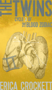 the twins, the blood zodiac, Erica Crockett, occult suspense, serial killer thriller